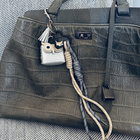 Pakabutis: Silver Owl